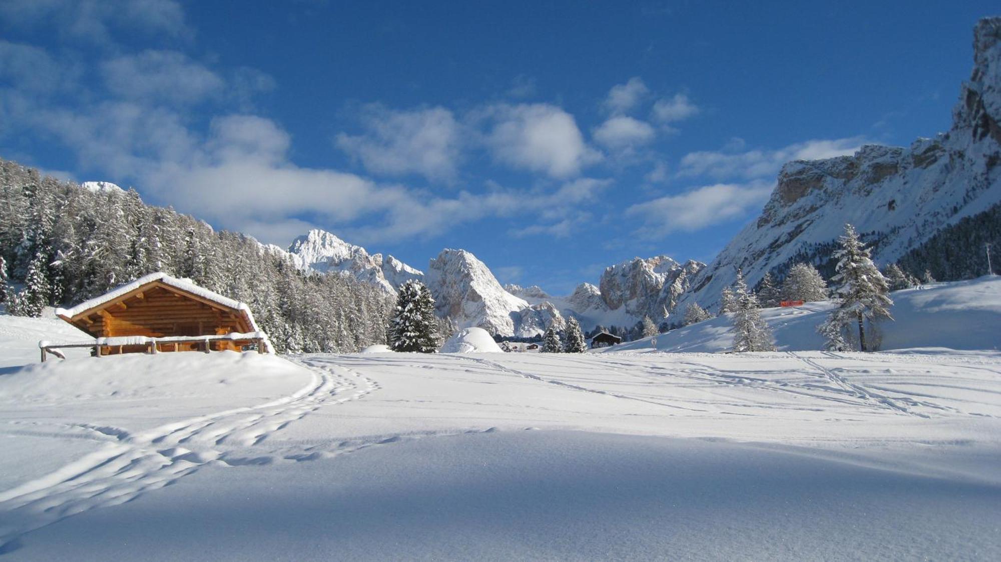 Apartments Dolomie Ortisei Eksteriør bilde